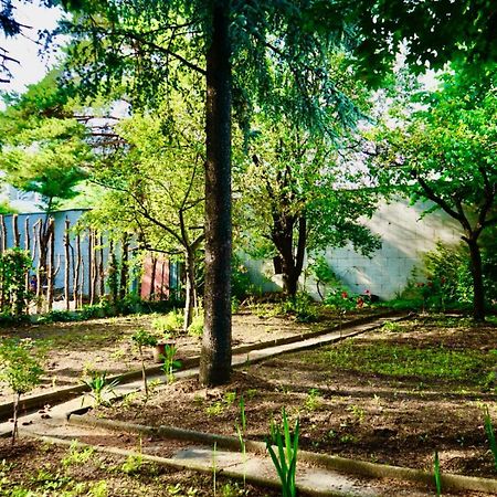 U6 Schoepfwerk Hostel 1 ウィーン エクステリア 写真